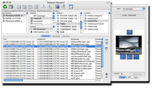 Main Interface for SQL 4X Manager J 3